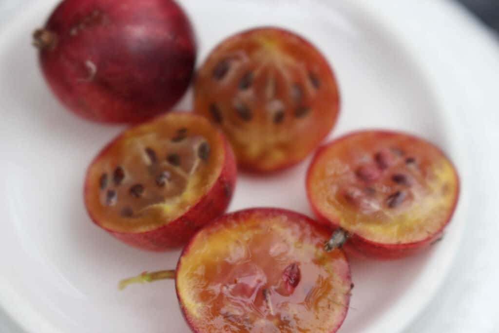 Stachelbeere Uralskij rosa Fruchtfleisch reif